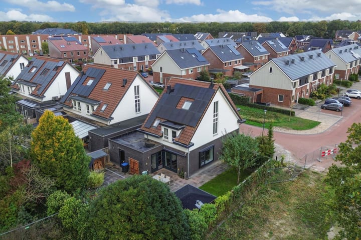 Foto 54 van Sergeant 24