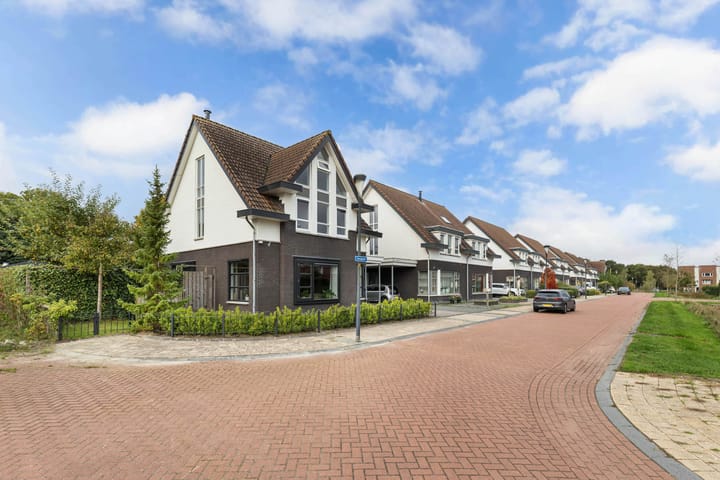 Foto 55 van Sergeant 24