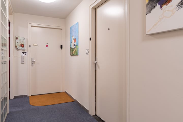 Foto 8 van Willinkplein 75