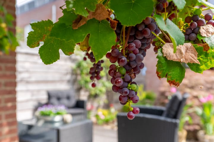 Foto 33 van Dirck Verhagenstraat 18