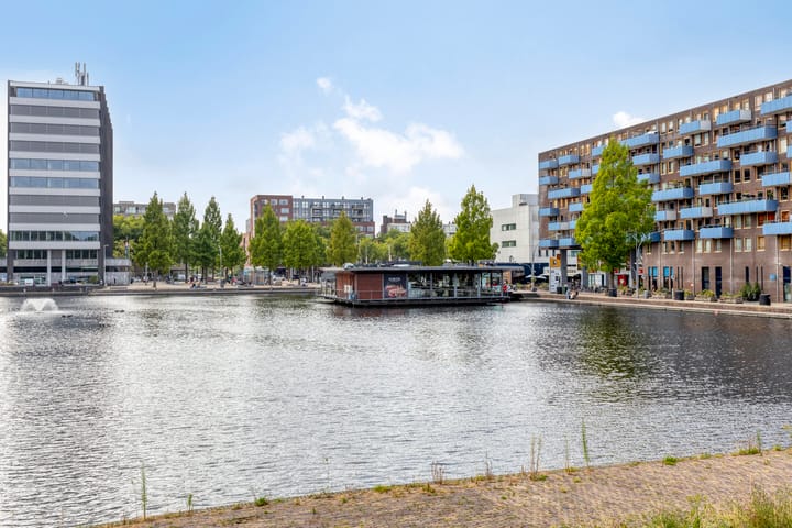 Foto 29 van Cornelis van Rijplantsoen 59