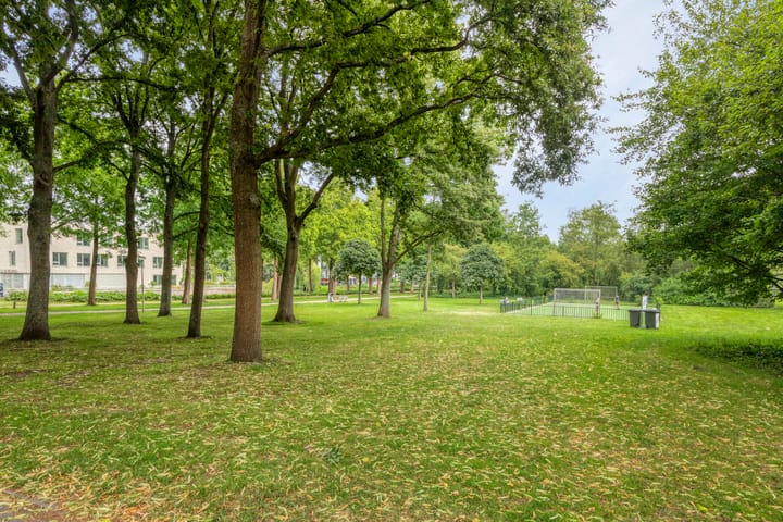 Foto 40 van Cornelis van Rijplantsoen 59