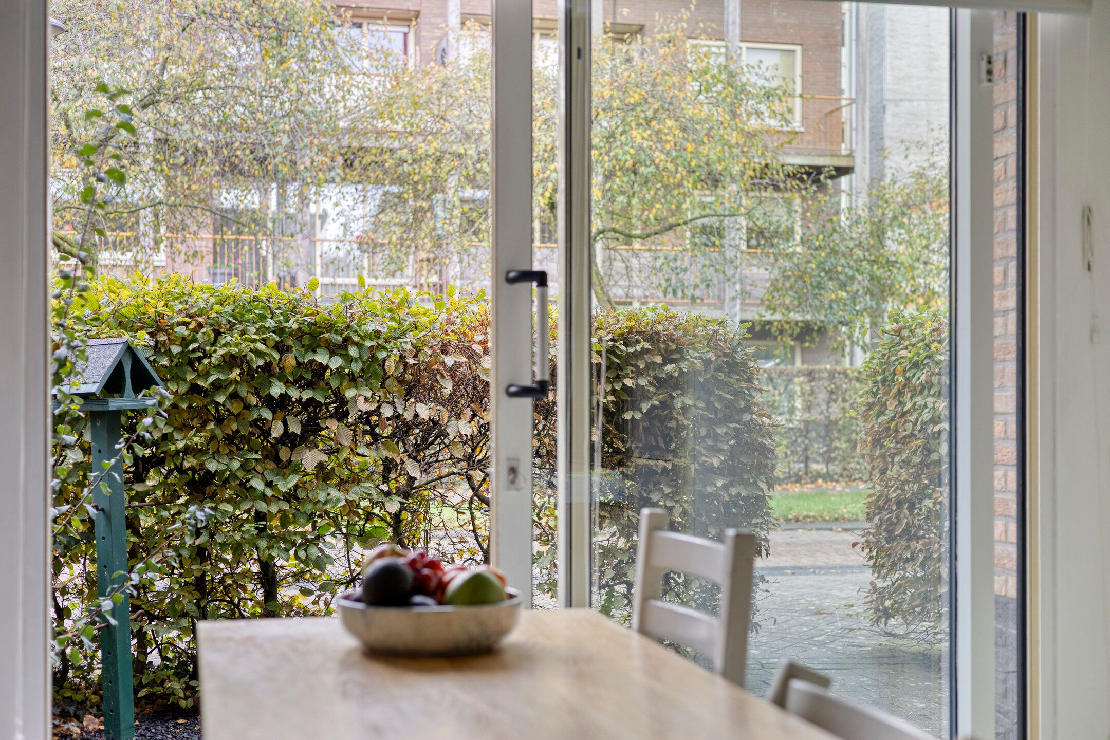 Photo 9 of Snavelzegge 13