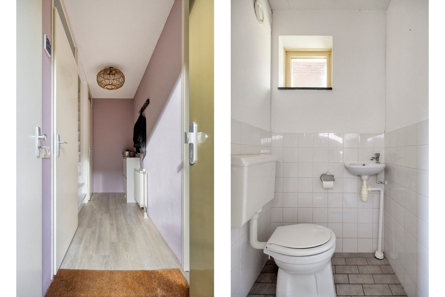 Photo 10 of Snavelzegge 13