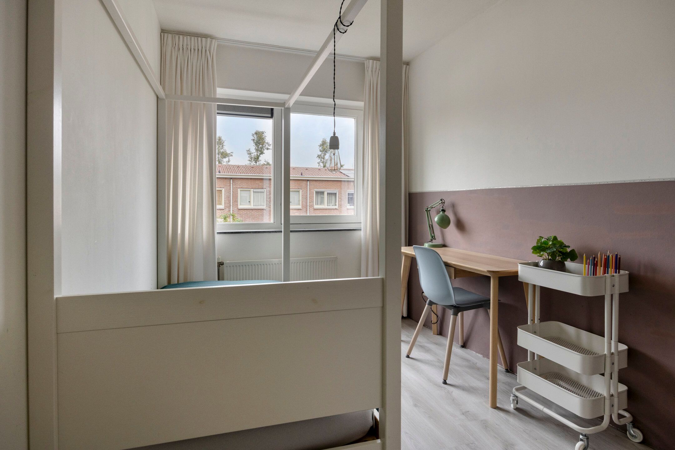 Photo 15 of Snavelzegge 13