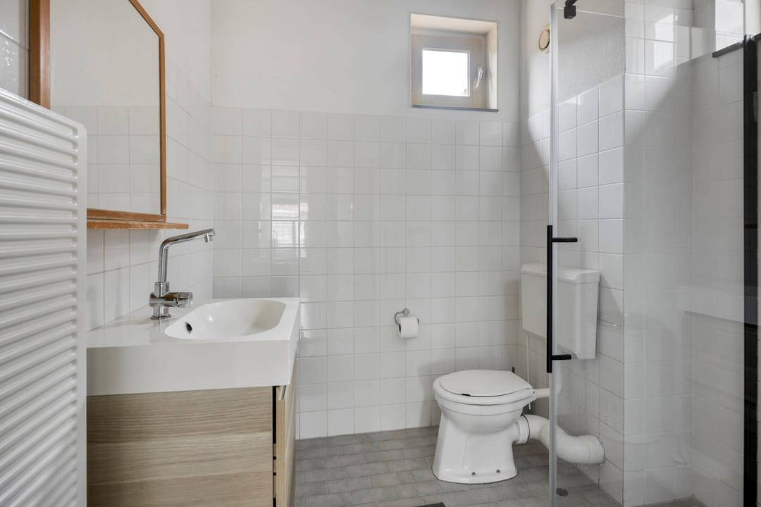 Photo 16 of Snavelzegge 13