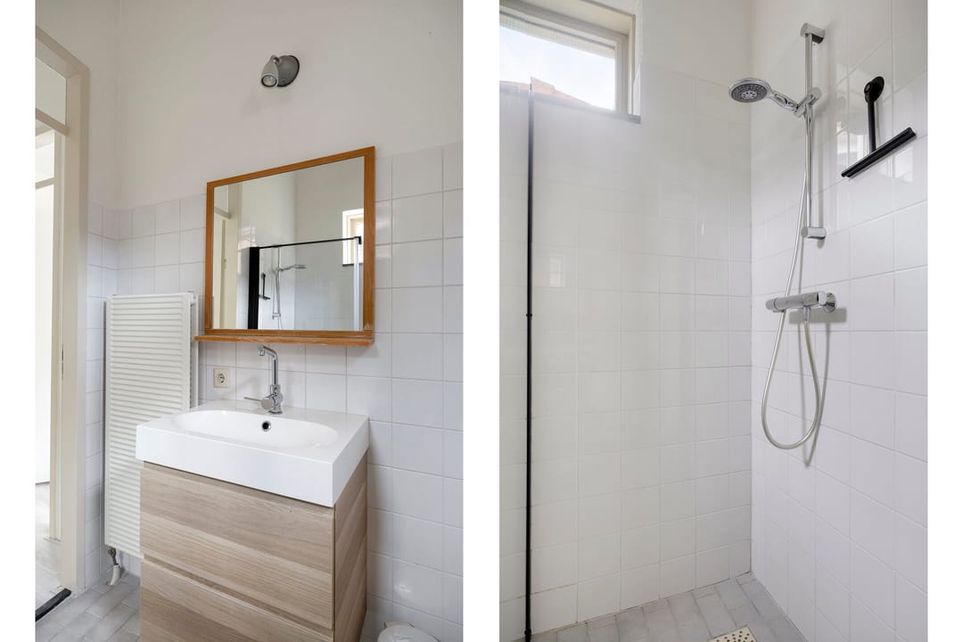 Photo 17 of Snavelzegge 13