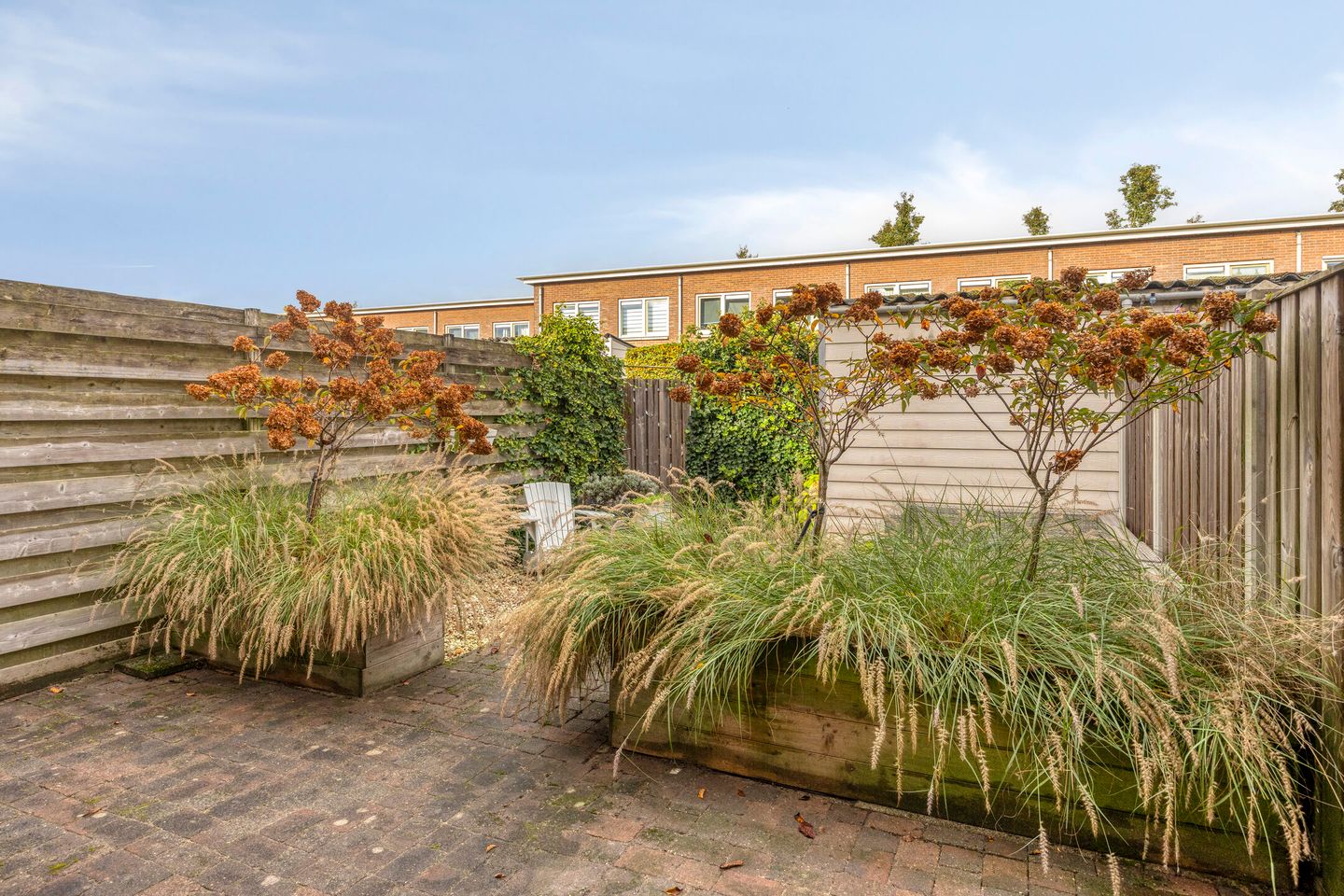 Photo 19 of Snavelzegge 13