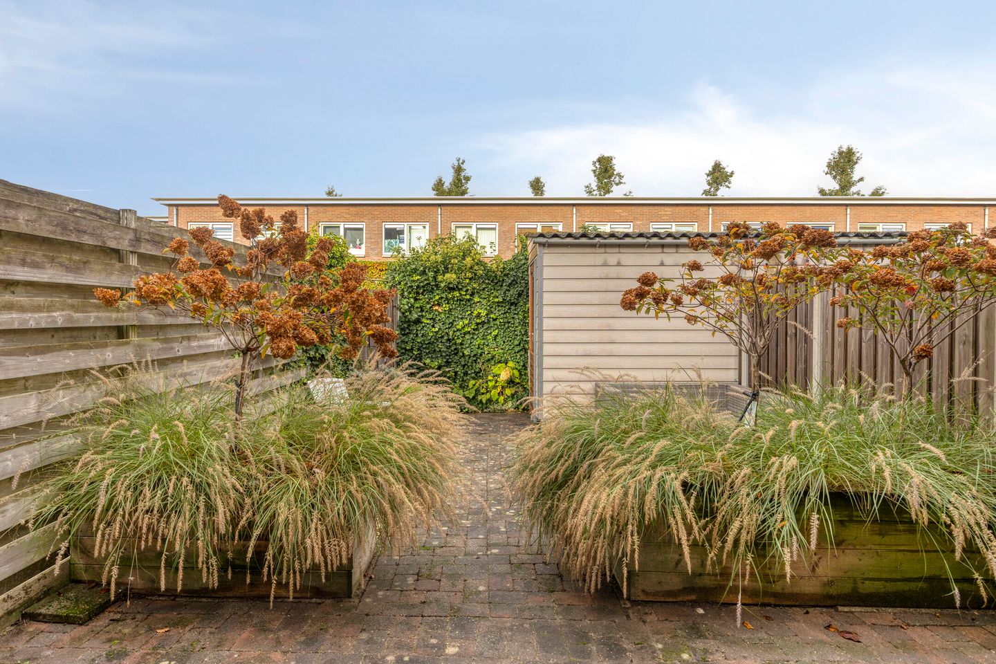 Photo 20 of Snavelzegge 13