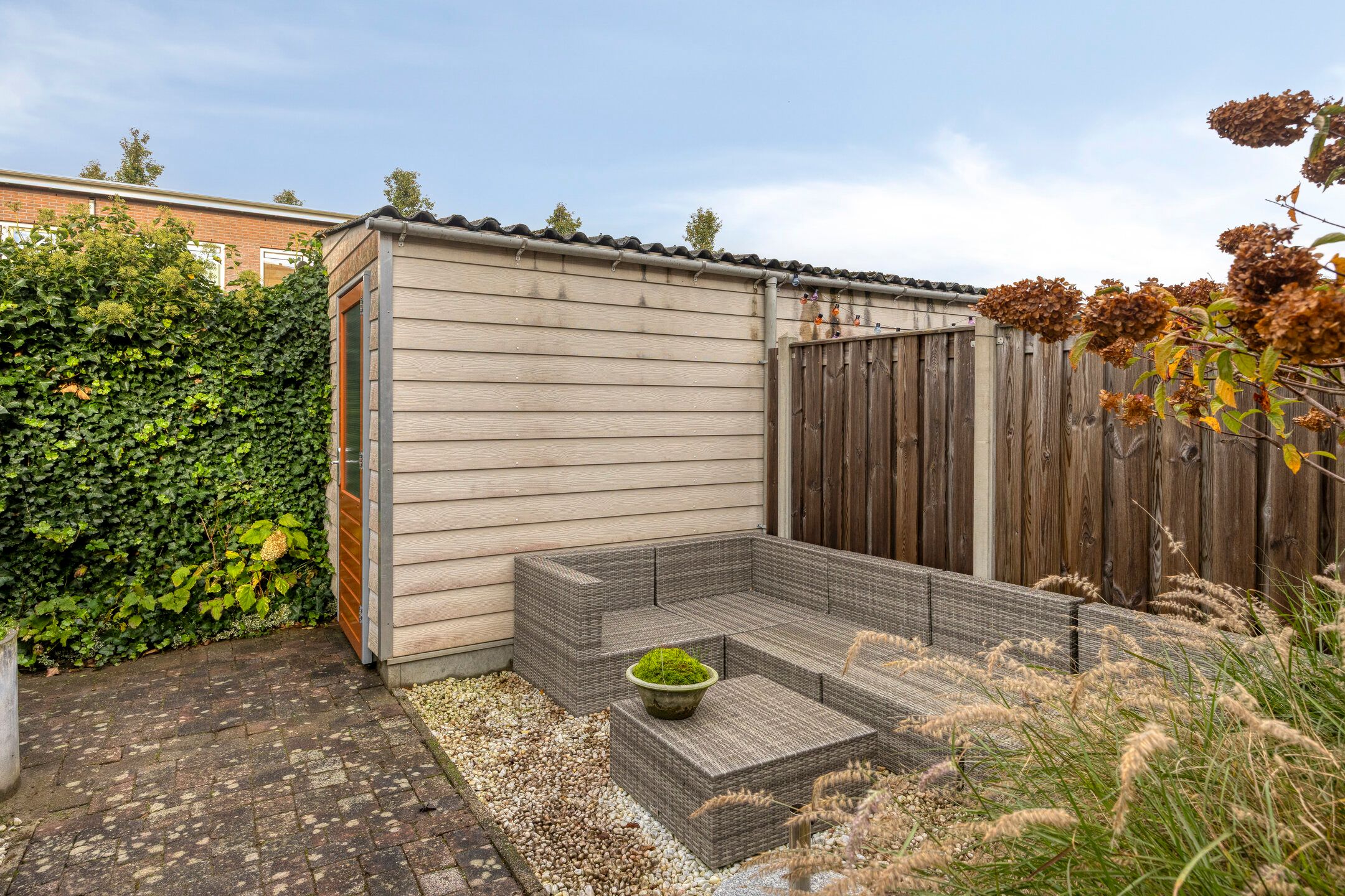 Photo 21 of Snavelzegge 13