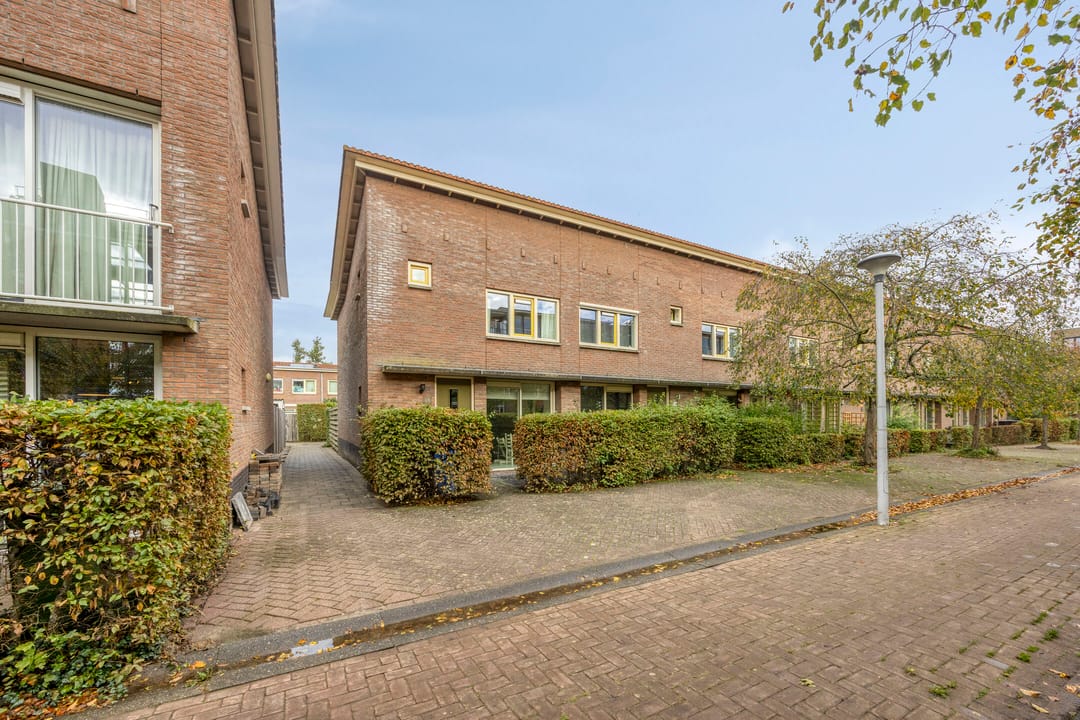 Photo 23 of Snavelzegge 13