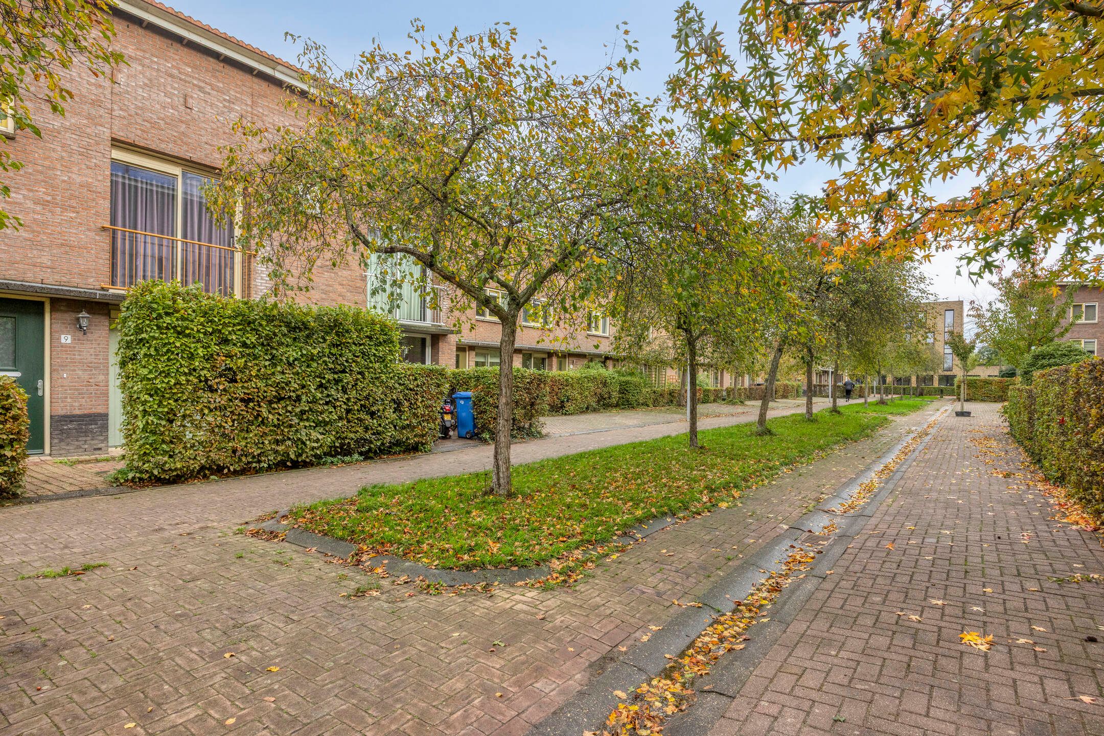 Photo 24 of Snavelzegge 13