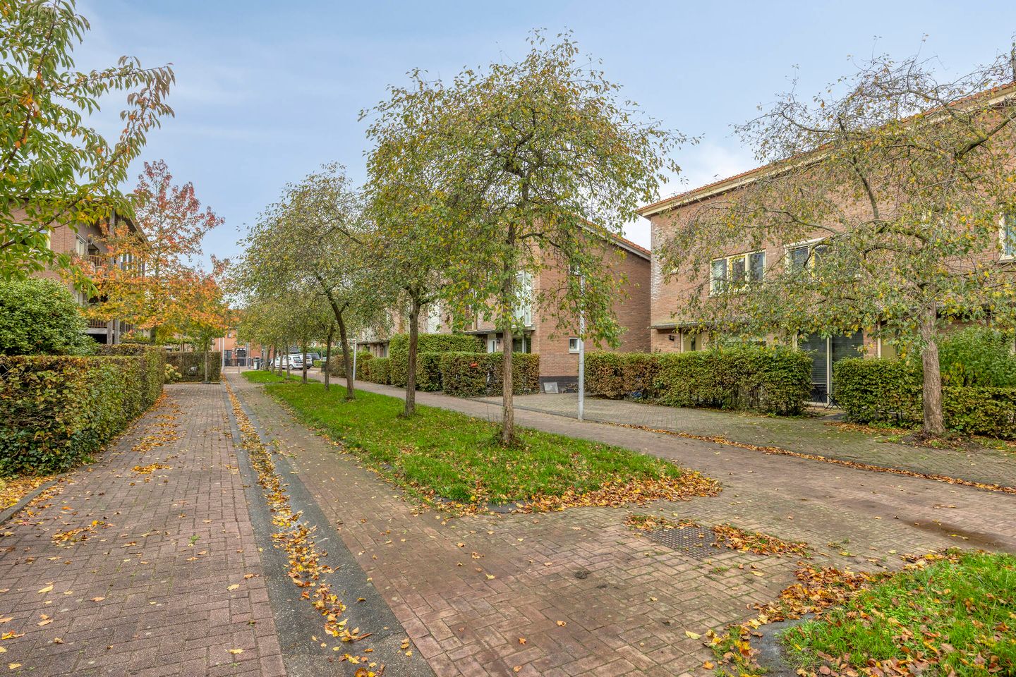 Photo 25 of Snavelzegge 13