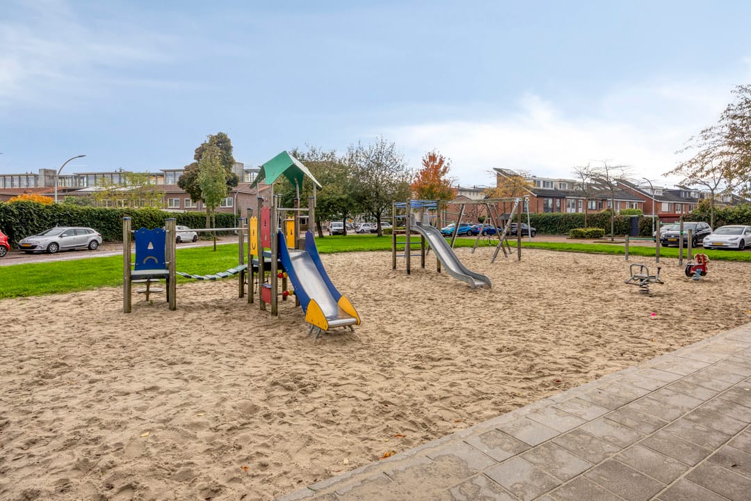 Photo 26 of Snavelzegge 13