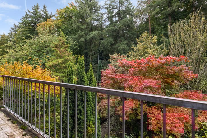 Photo 26 of Ericalaan 15