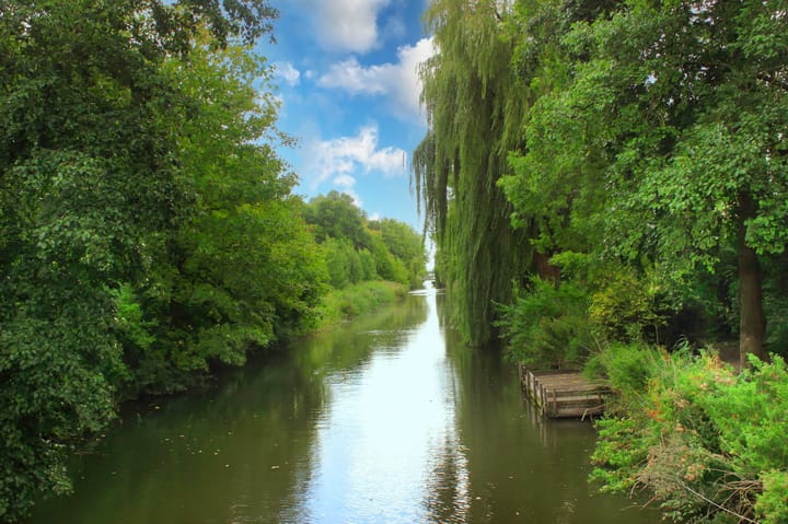 Foto 54 van Stellingmolenstraat 90