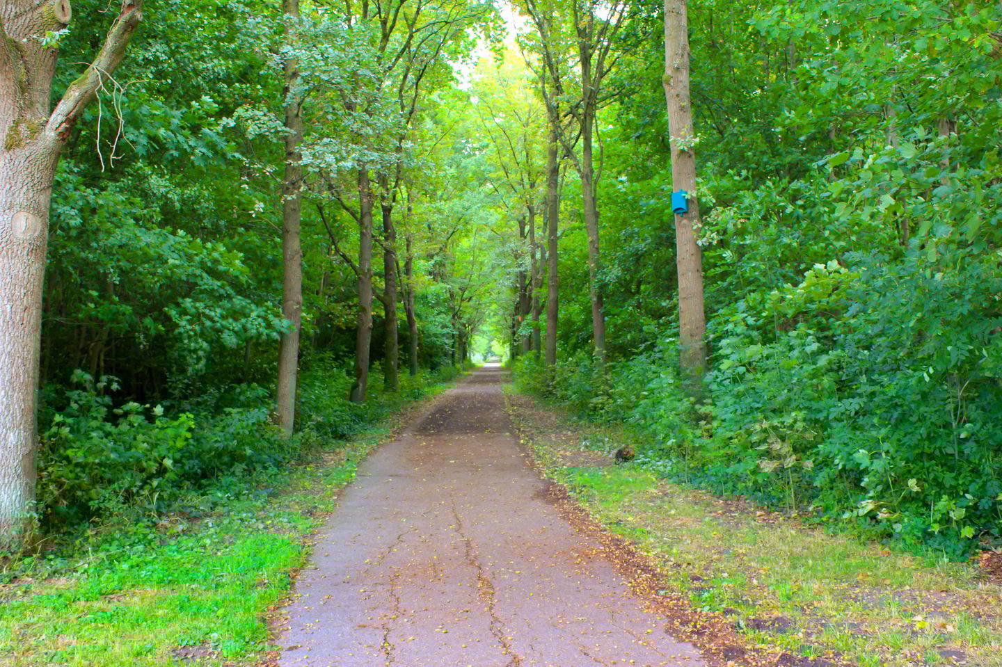 Foto 55 van Stellingmolenstraat 90