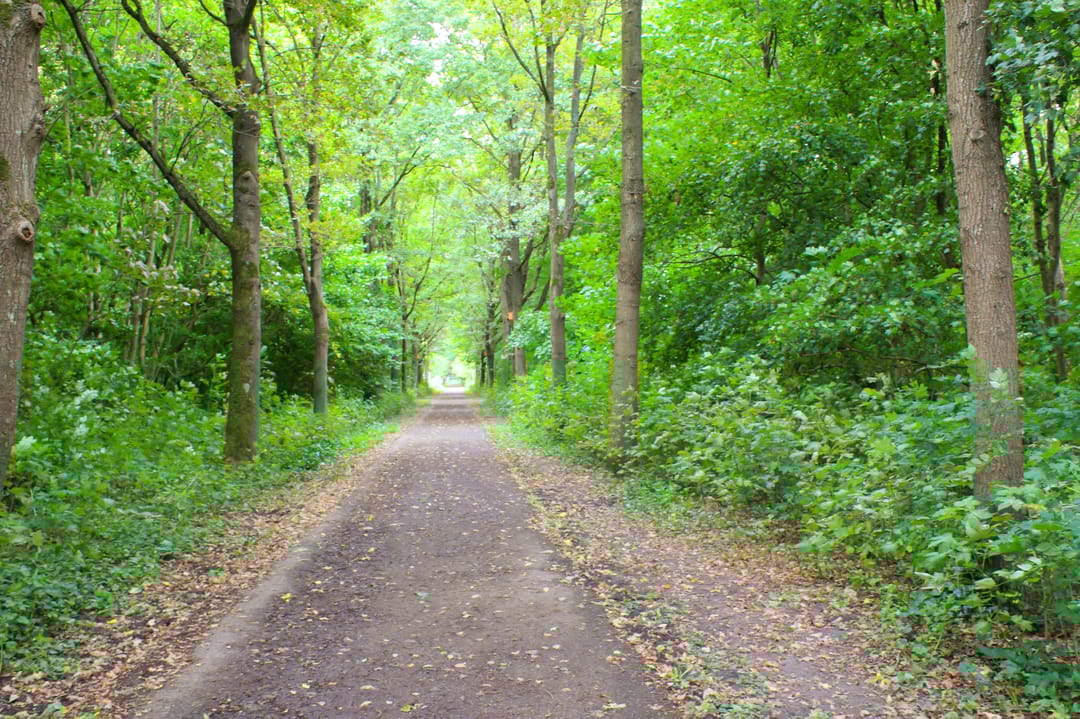 Foto 56 van Stellingmolenstraat 90