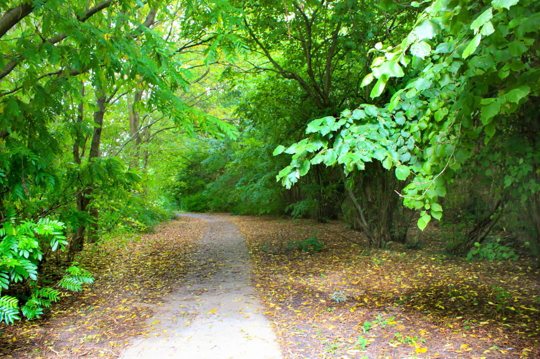 Foto 58 van Stellingmolenstraat 90