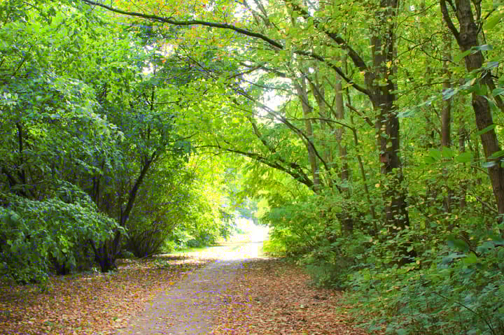 Foto 59 van Stellingmolenstraat 90