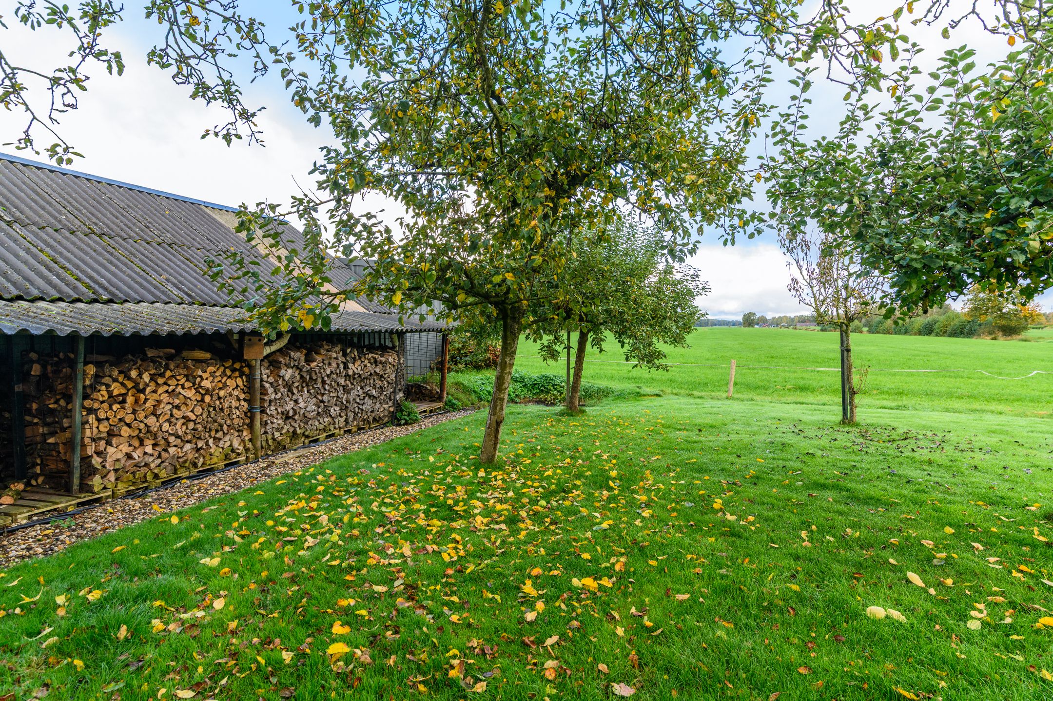 Photo 48 of Schoterlandseweg 189