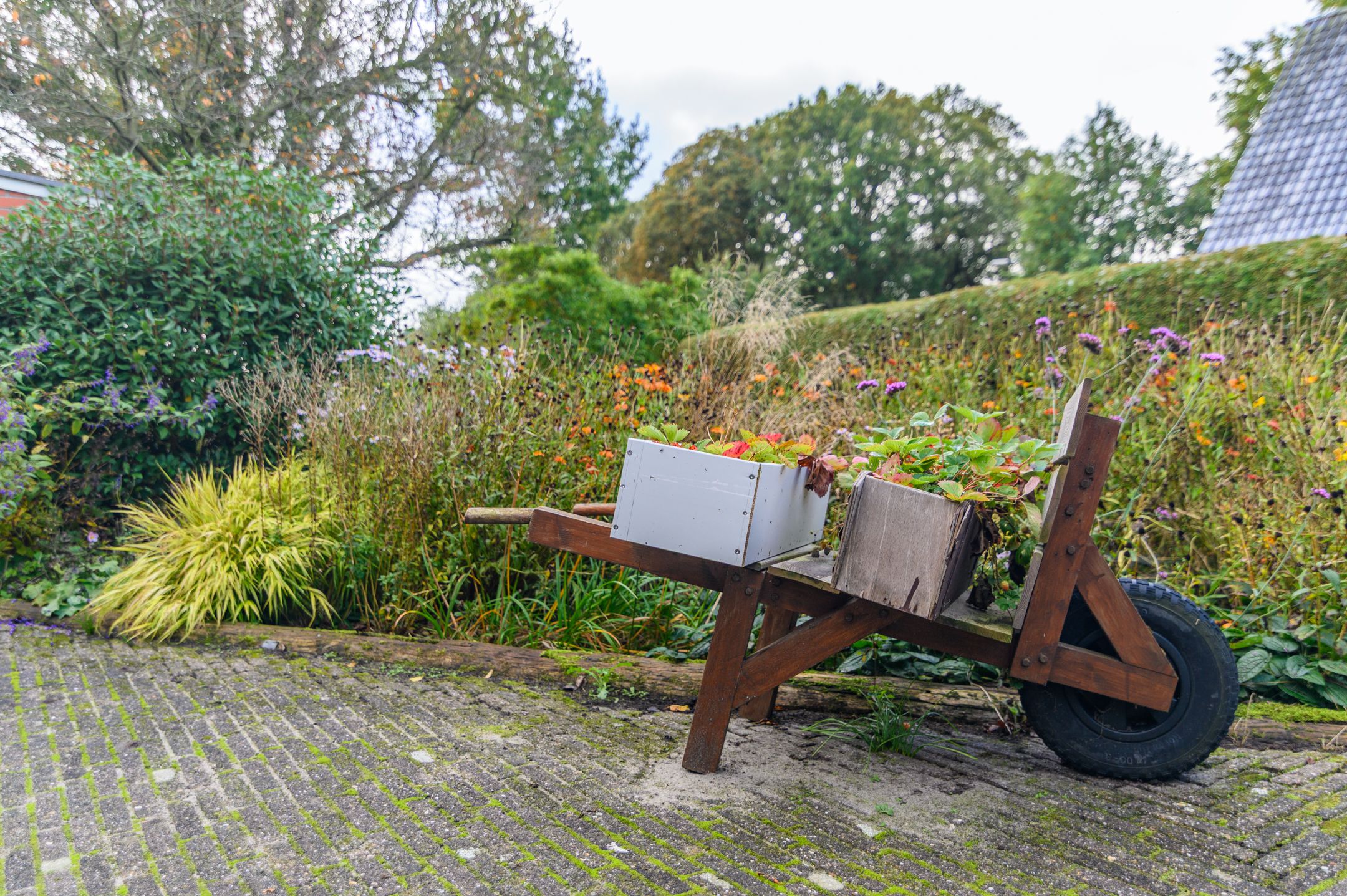 Photo 54 of Schoterlandseweg 189