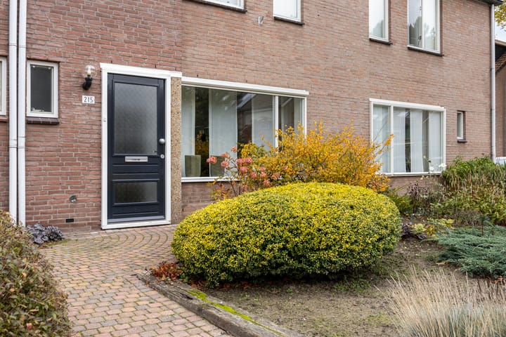 Foto 29 van Alpenlaan 215