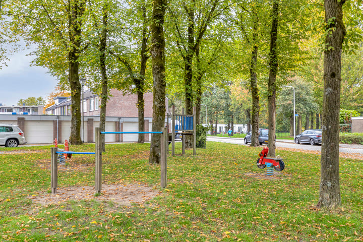 Foto 32 van Alpenlaan 215