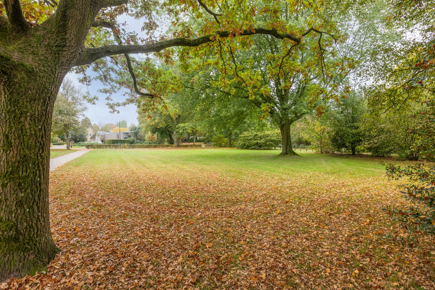 Foto 4 van Evertsenstraat 34