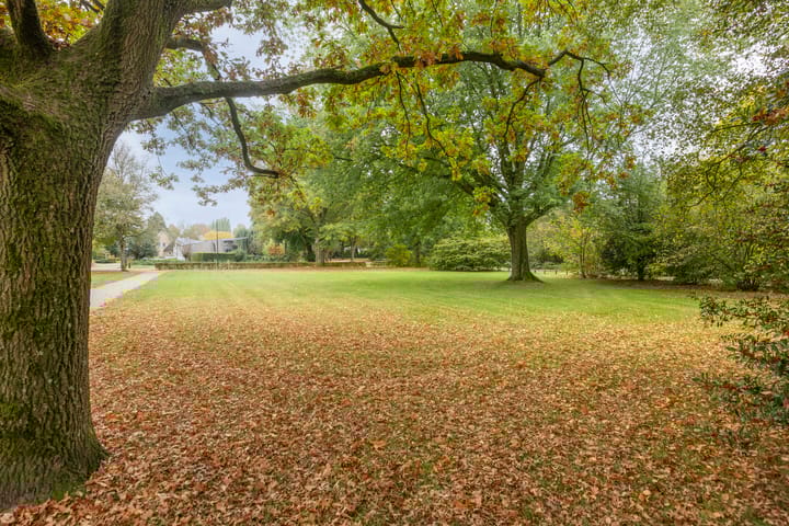 Photo 4 of Evertsenstraat 34