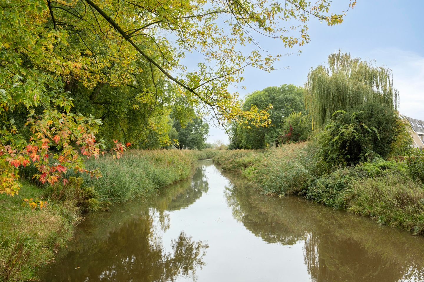 Foto 29 van Evertsenstraat 34