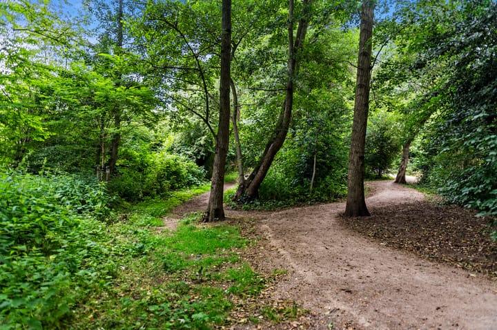 Foto 39 van Loosduinsekade 513