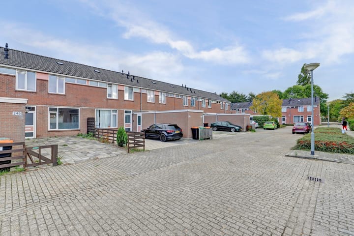 Foto 6 van Westerzicht 248