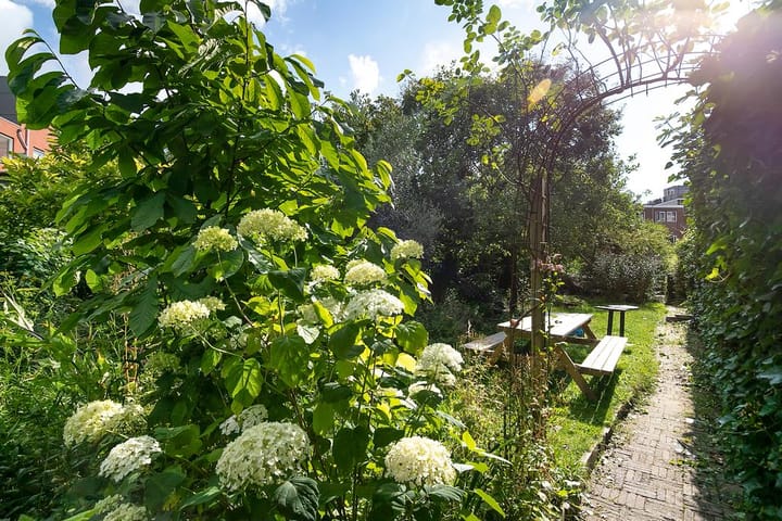 Photo 56 of Tolhuislaan 257