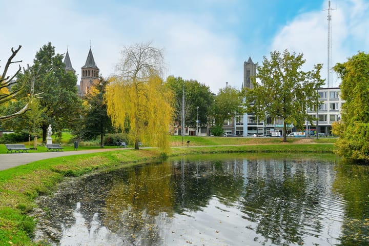 Photo 39 of Parkstraat 6-1