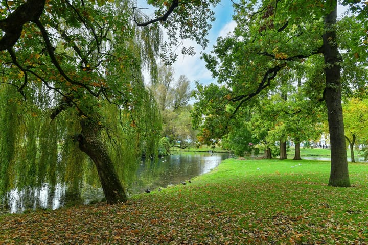 Photo 40 of Parkstraat 6-1