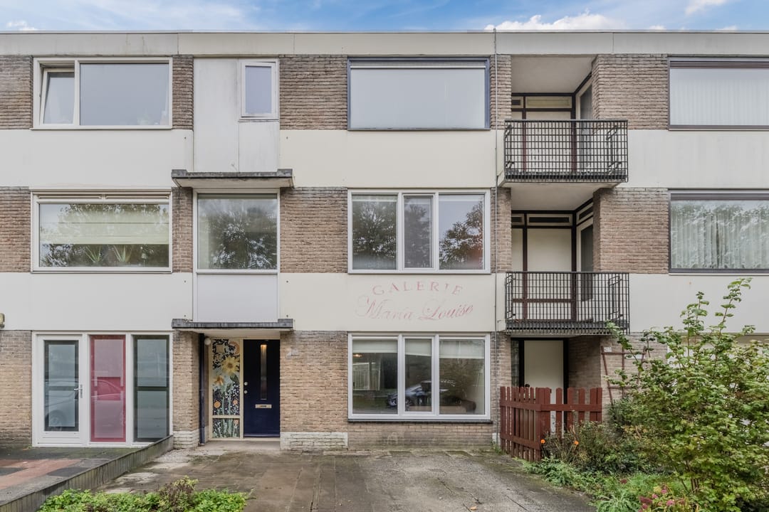 Foto 1 van Lodewijk Napoleonlaan 101