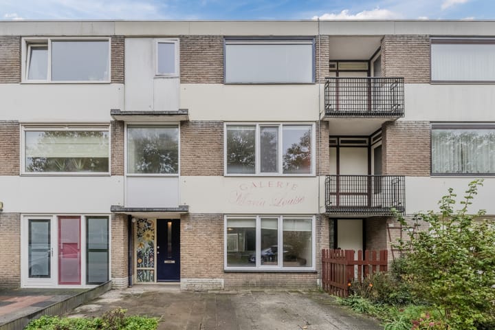 Lodewijk Napoleonlaan 101