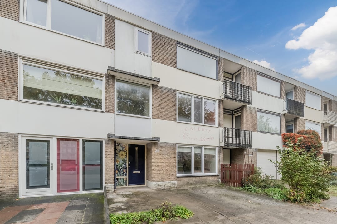 Foto 28 van Lodewijk Napoleonlaan 101