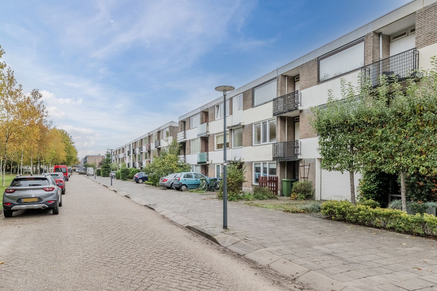 Foto 29 van Lodewijk Napoleonlaan 101