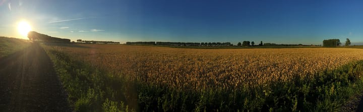 Photo 4 of Platteweg 1