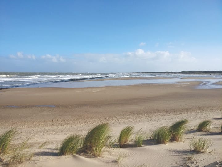 Photo 6 of Platteweg 1