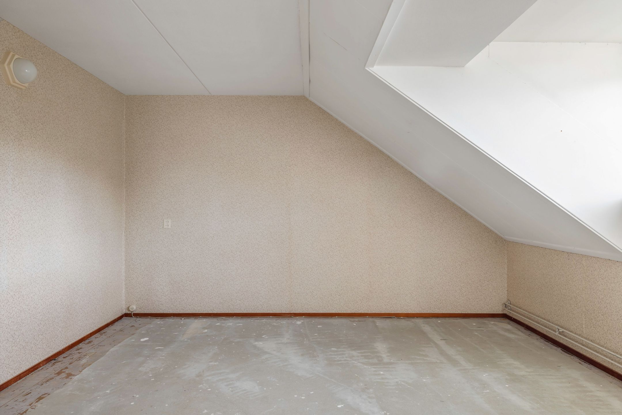 Foto 24 van Rattelwacht 24