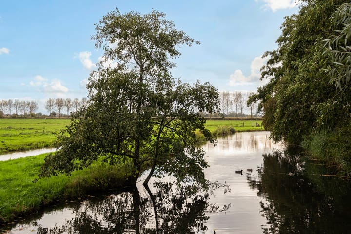 Photo 39 of Valreep 20-A