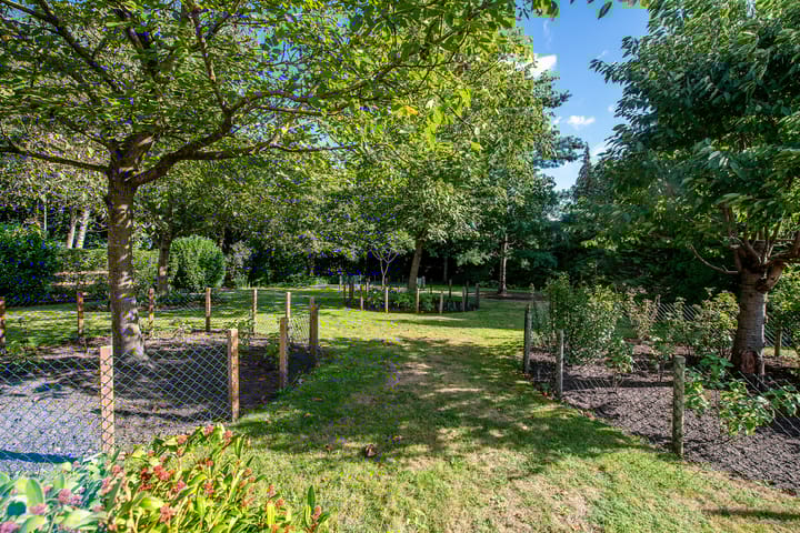 Foto 4 van Jipsingboertangerweg 143