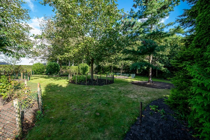 Foto 34 van Jipsingboertangerweg 143