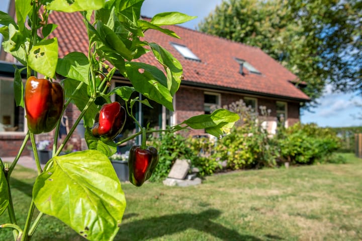 Foto 35 van Jipsingboertangerweg 143