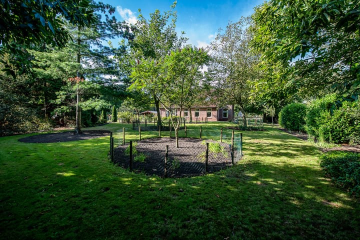 Foto 37 van Jipsingboertangerweg 143