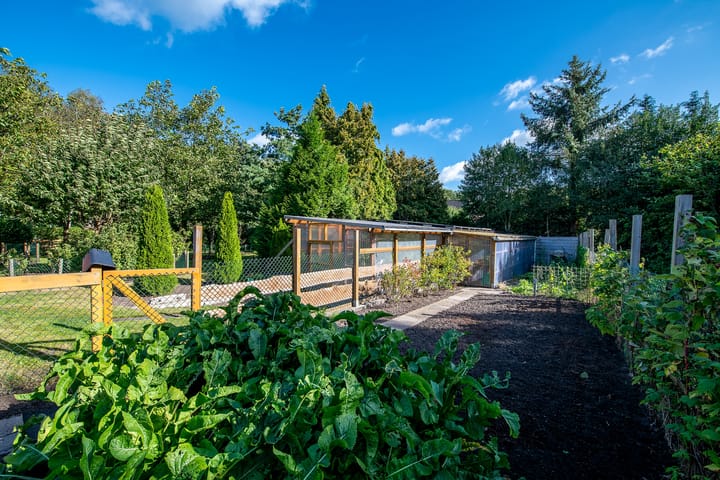 Foto 41 van Jipsingboertangerweg 143