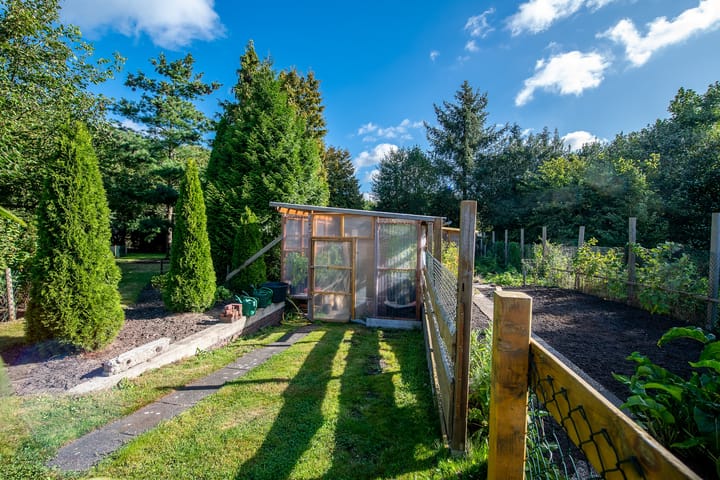 Foto 42 van Jipsingboertangerweg 143